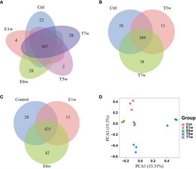 Proteomics Investigations of Potential Protein Biomarkers in Sera of Rabbits Infected With Schistosoma japonicum